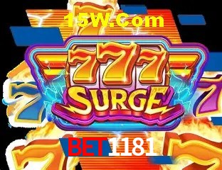 BET1181 - Customer Support